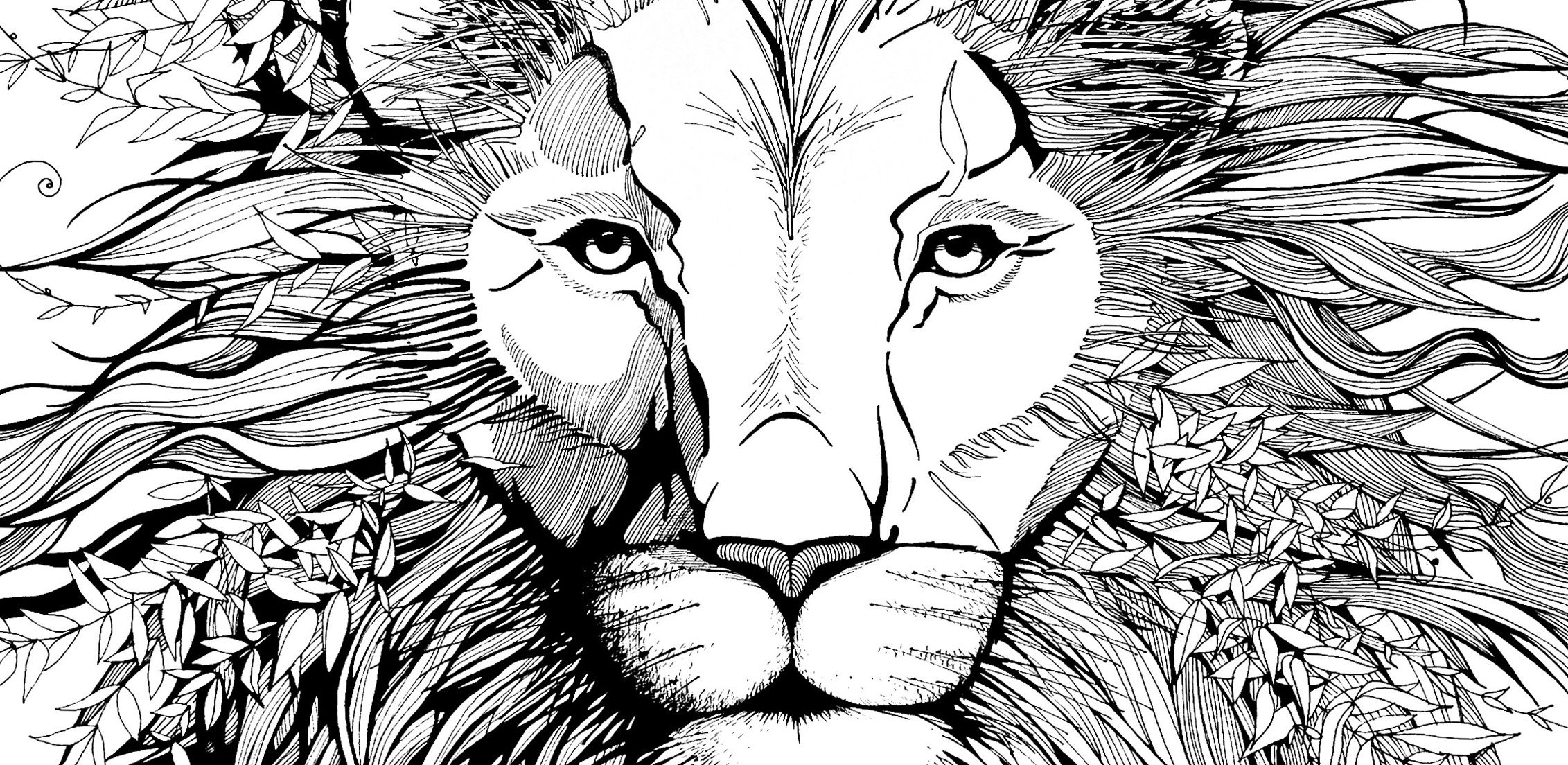 lion_s lion_s