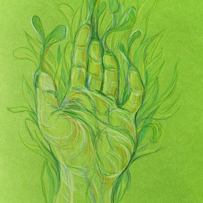 Green Hand, 2024, colour pencils